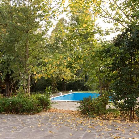Ca'Stello23 Bed & Breakfast Sala Bolognese Екстериор снимка